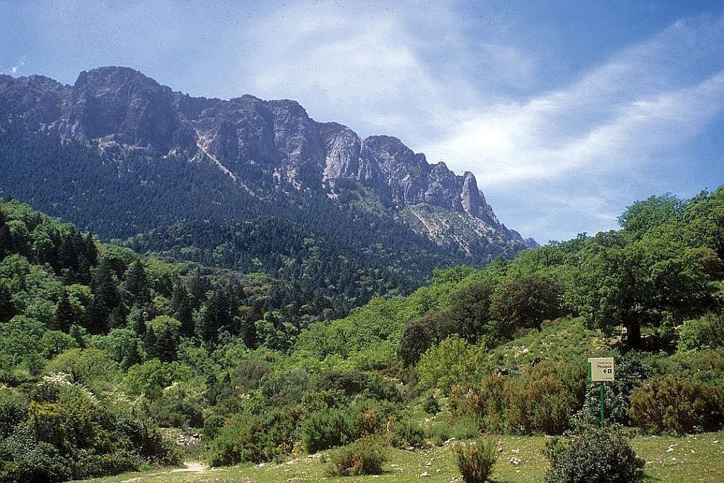 Sierra de Grazalema