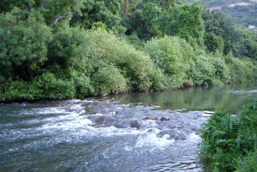 Parque Natural Sierra de Grazalema