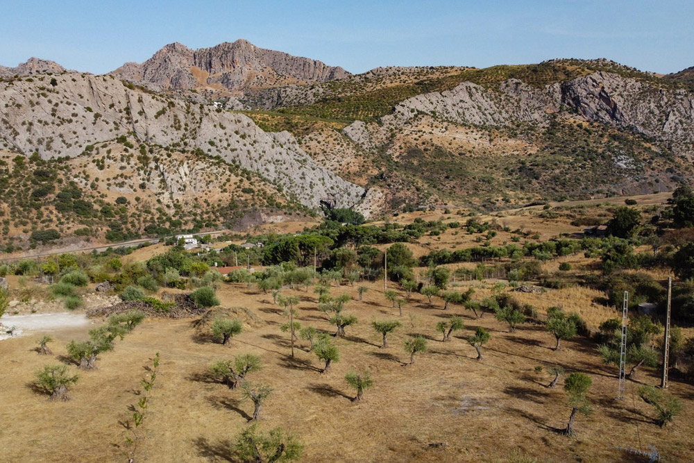 Alojamientos rurales Málaga
