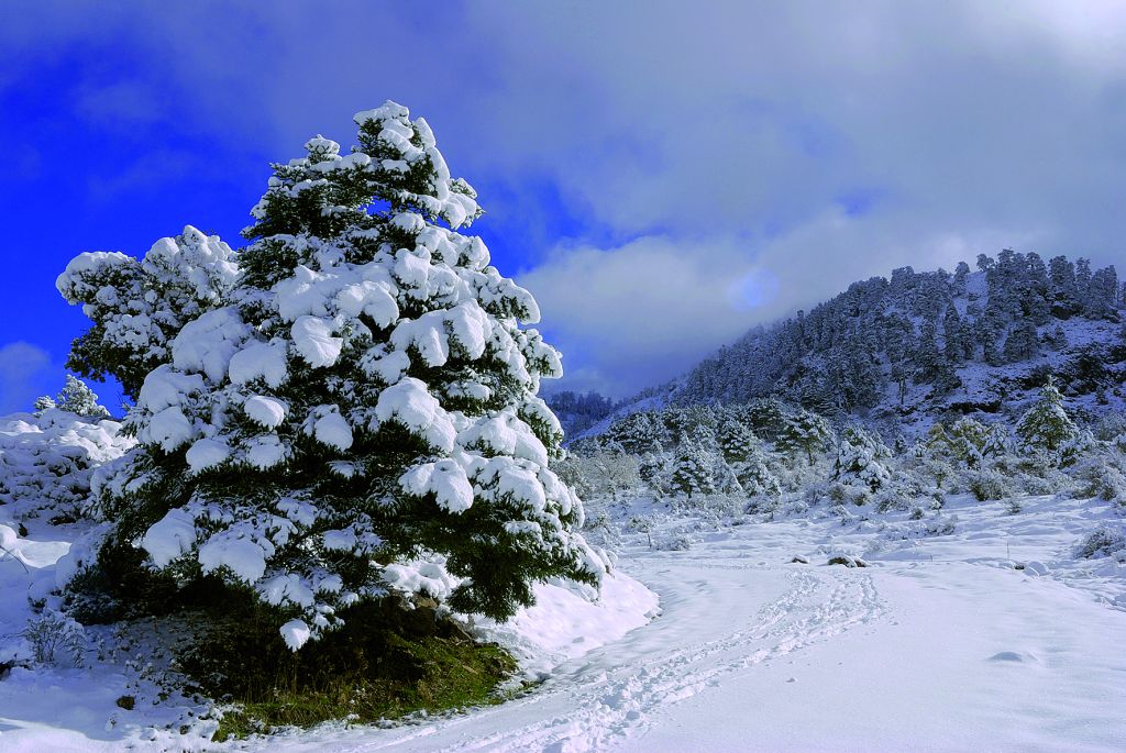 Sierra de Las Nieves
