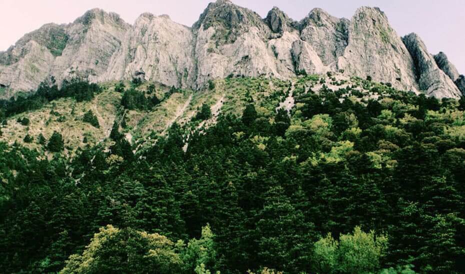 qué hacer en la Sierra de Grazalema